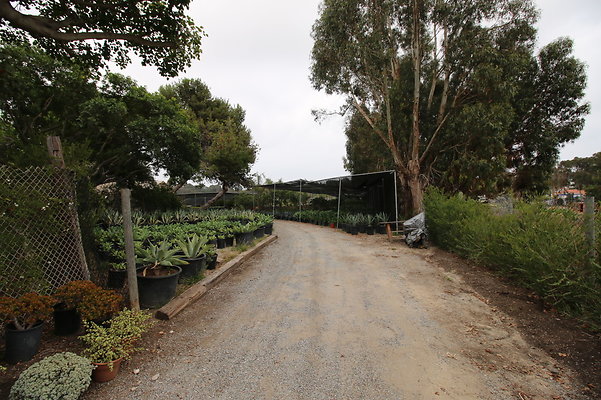 Pacific.View.Nursery.Malibu.19