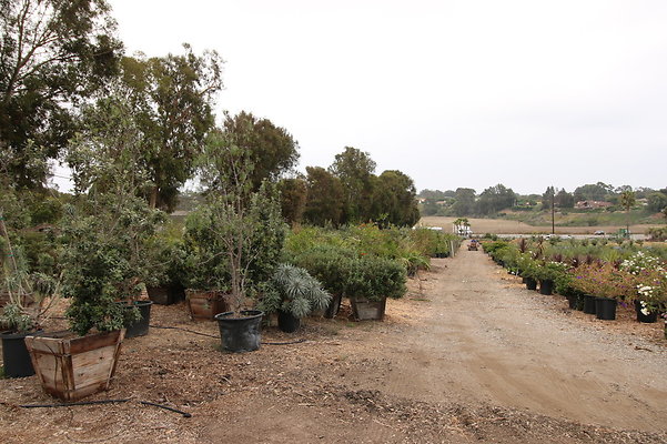 Pacific.View.Nursery.Malibu.40