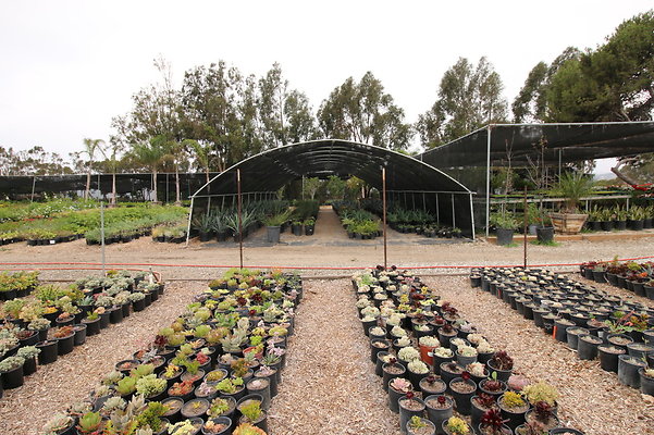 Pacific.View.Nursery.Malibu.33