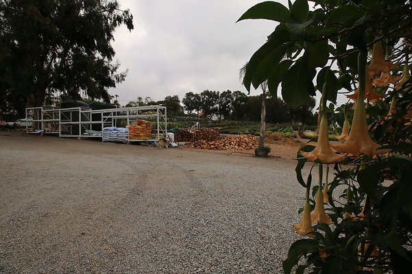 Pacific.View.Nursery.Malibu.31