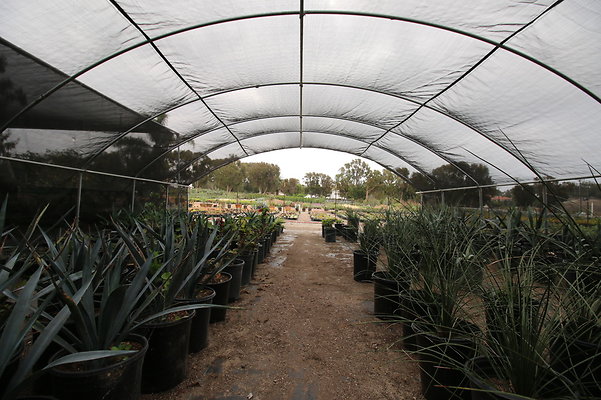 Pacific.View.Nursery.Malibu.35