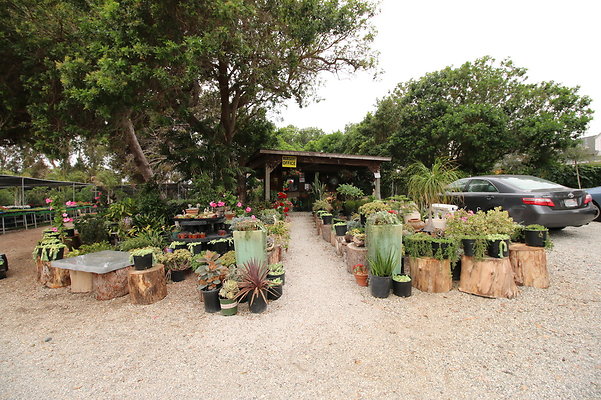 Pacific.View.Nursery.Malibu.27