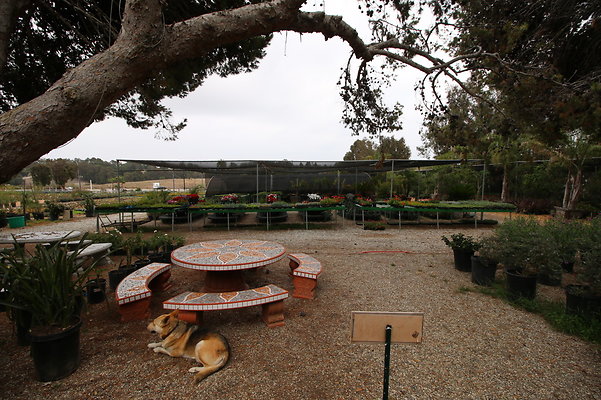Pacific.View.Nursery.Malibu.25