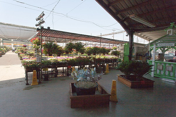 GREEN ARROW NURSERY 061312004