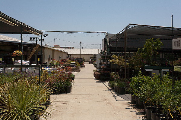 GREEN ARROW NURSERY 061312025