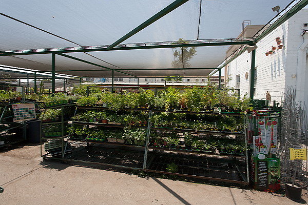 GREEN ARROW NURSERY 061312017