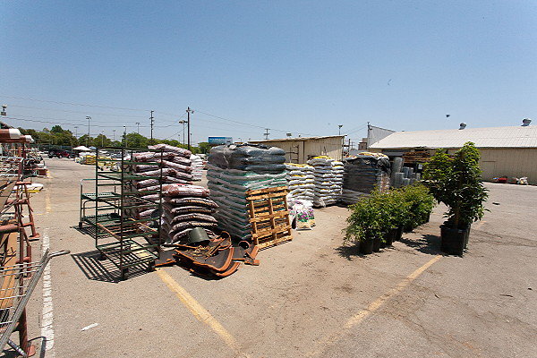 GREEN ARROW NURSERY 061312038