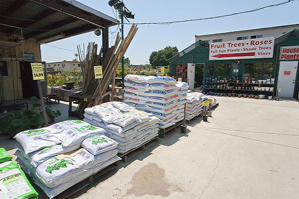 GREEN ARROW NURSERY 061312029