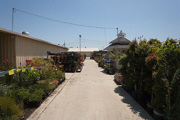 GREEN ARROW NURSERY 061312033