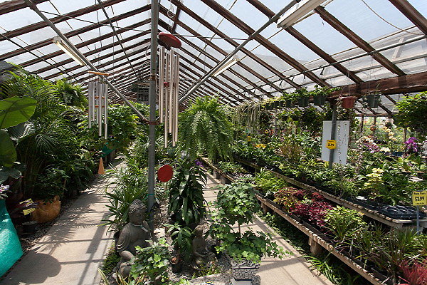 GREEN ARROW NURSERY 061312030