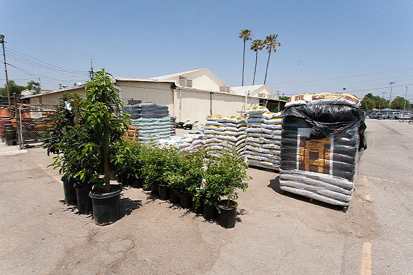 GREEN ARROW NURSERY 061312040