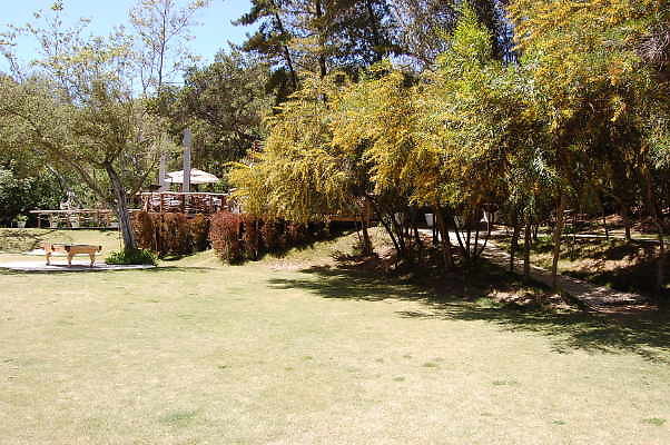 DSC 0476