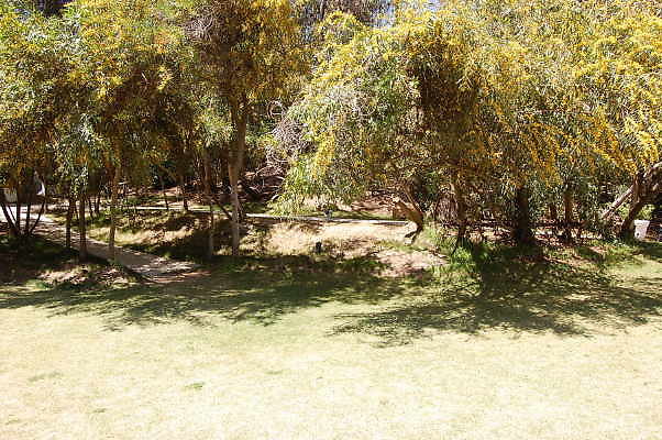 DSC 0477