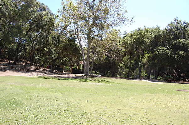 DSC 0489