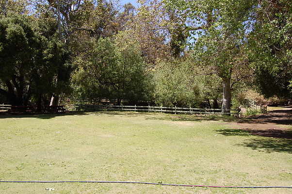 DSC 0486