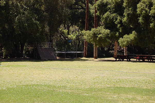 DSC 0482