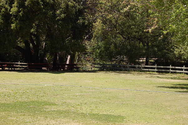 DSC 0483