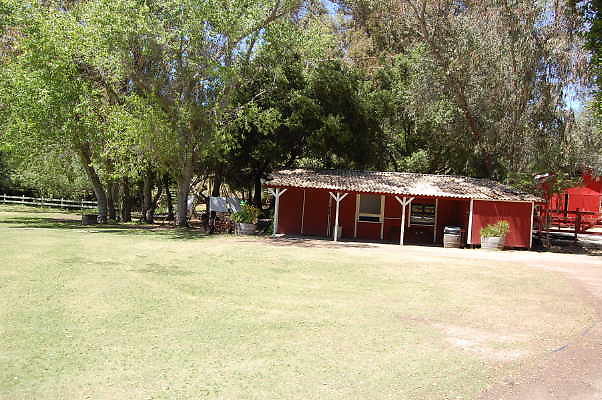 DSC 0484