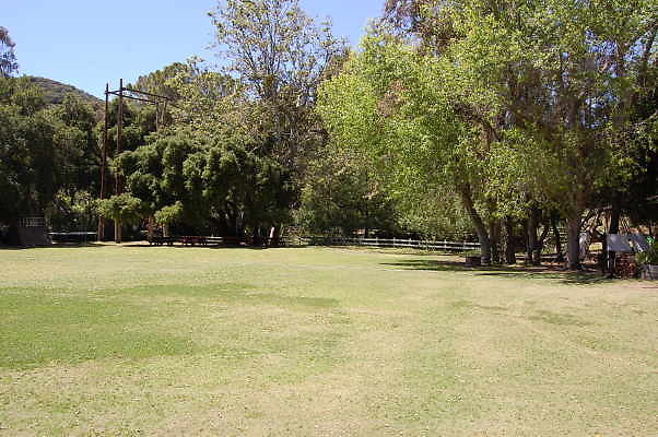 DSC 0480