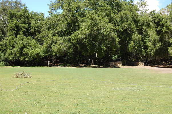 DSC 0498