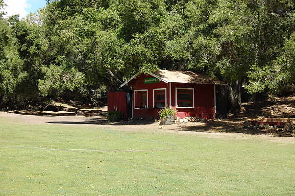 DSC 0499