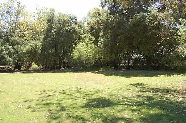 DSC 0503