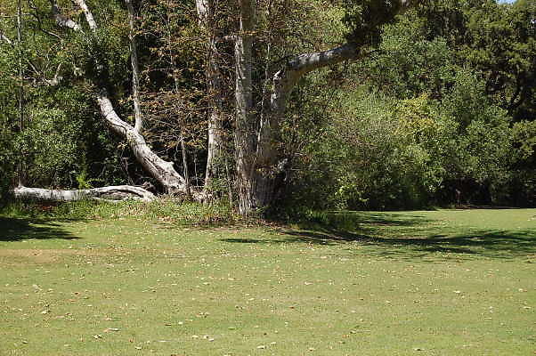 DSC 0494
