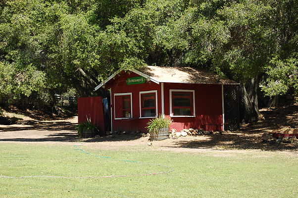 DSC 0500