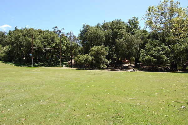 DSC 0502