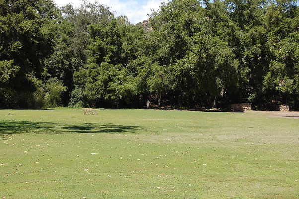 DSC 0495