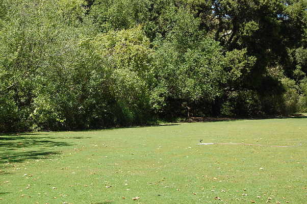 DSC 0497
