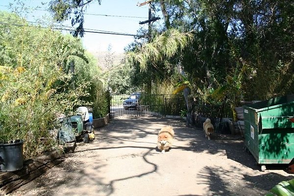 Nursery.8516.Malibu Locations14