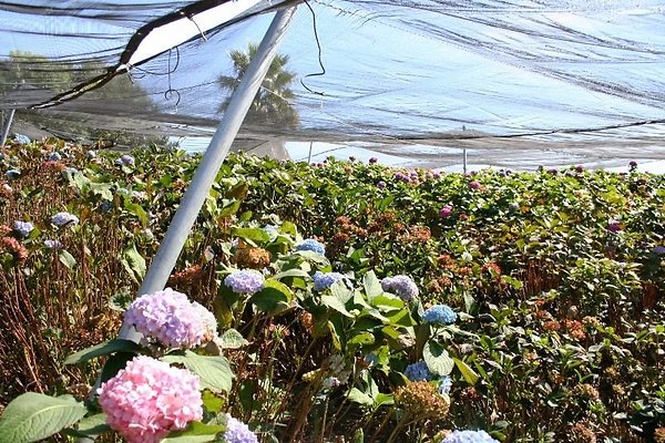 Nursery.8516.Malibu Locations
