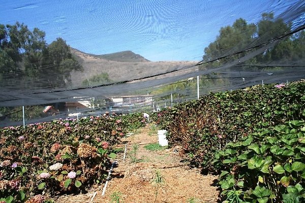 Nursery.8516.Malibu Locations08