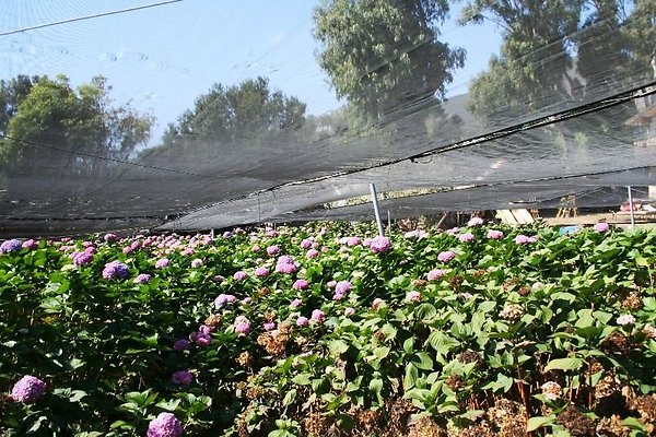 Nursery.8516.Malibu Locations04