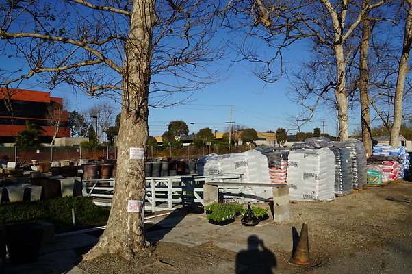 Marina.Garden.Center.29