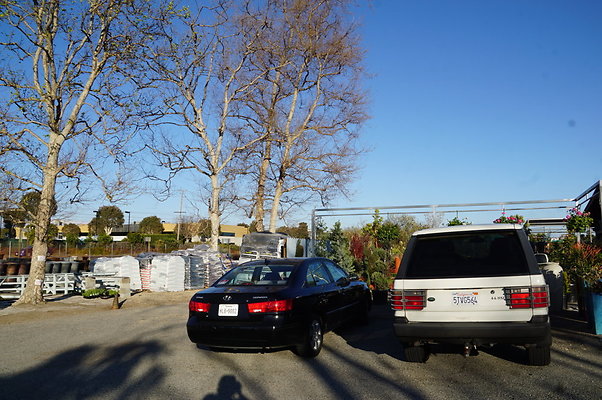 Marina.Garden.Center.19