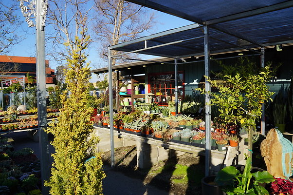 Marina.Garden.Center.11