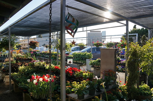 Marina.Garden.Center.16