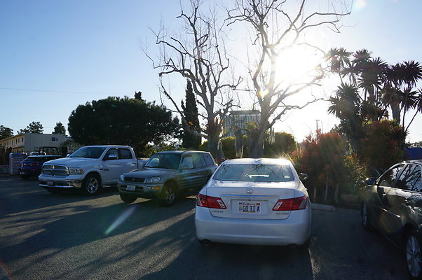 Marina.Garden.Center.24