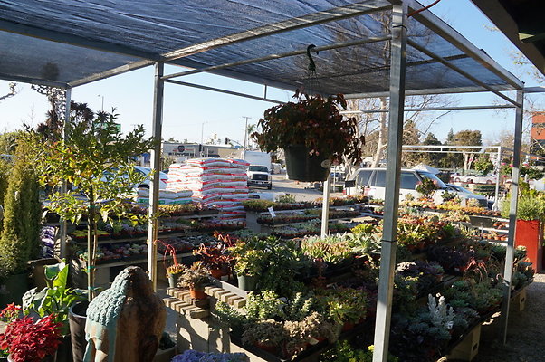 Marina.Garden.Center.18