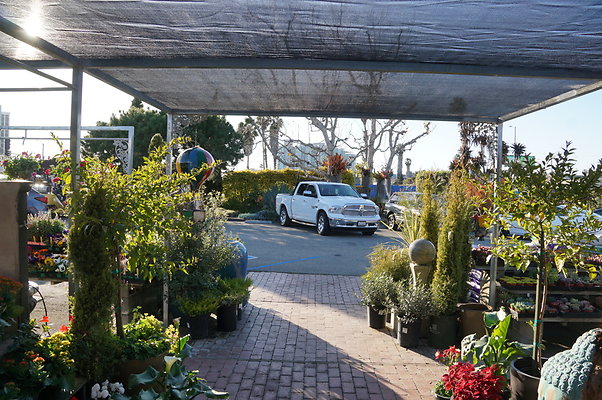 Marina.Garden.Center.17