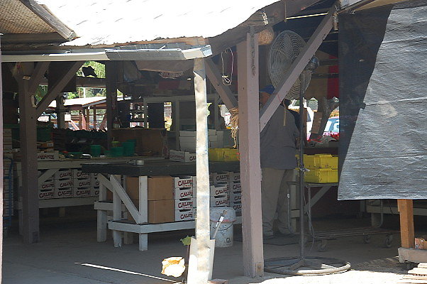 DSC 0522