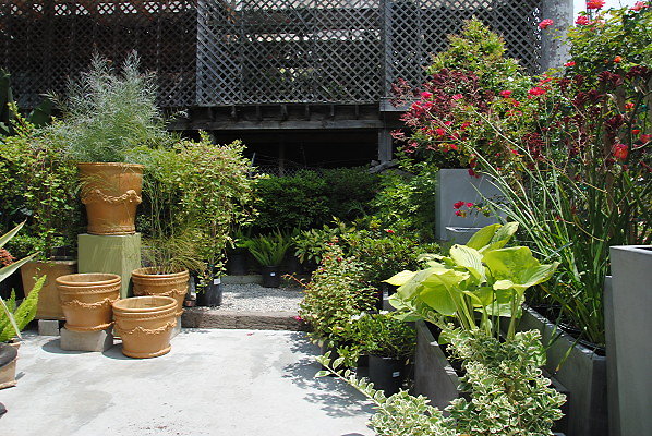 DSC 0269