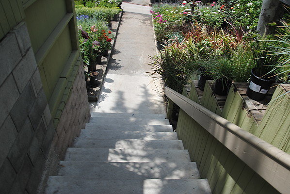 DSC 0262