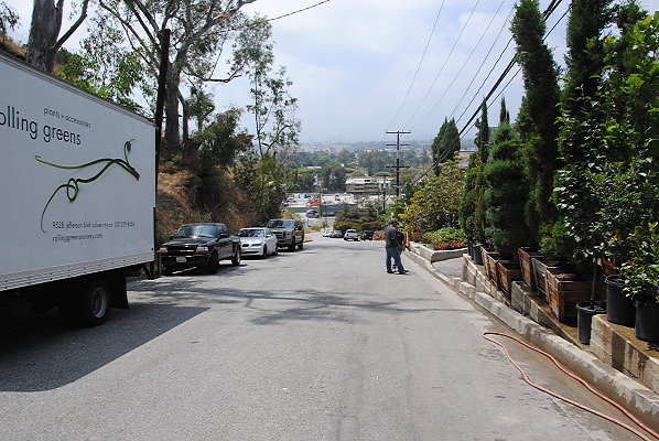 DSC 0296
