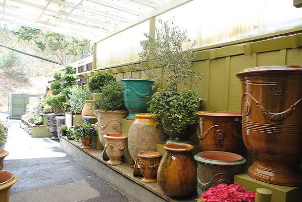 DSC 0256