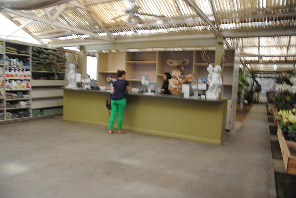 DSC 0255