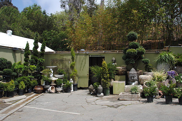 DSC 0230