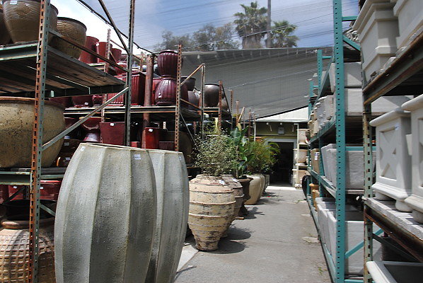 DSC 0272